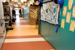 教育系統(tǒng)膠地板