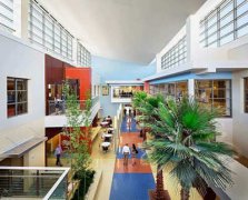 人性化兒童地板-哪個(gè)是你想要的？